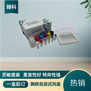 大鼠（Rat）CD30配体(CD30L）ELISA试剂盒,Rat   C-Peptide  ELISA KIT