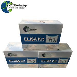 人Anti tTG IgA(抗T问题转谷氨酰胺酶IgA)ELISA试剂盒