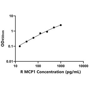 兔单核细胞趋化蛋白1(MCP1)ELISA试剂盒,Rabbit MCP1 ELISA KIT