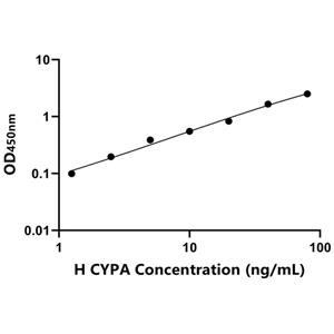 CYPA ELISA KIT / 人亲环素A ELISA试剂盒