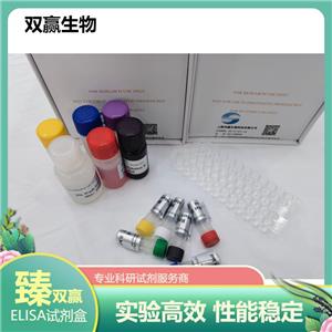 人酪氨酸蛋白激酶受体ErbB2(ErbB2)ELISA试剂盒