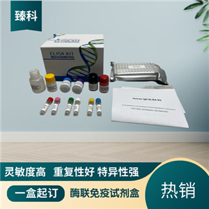 大鼠（Rat）Ⅱ型胶原(COL2）ELISA试剂盒,Rat  COL2  ELISA KIT