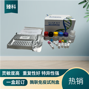 大鼠（Rat）Ⅰ型前胶原氨基端原肽(PⅠNP）ELISA试剂盒