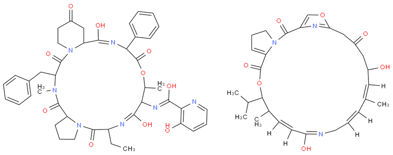 普那霉素,Virginiamycin