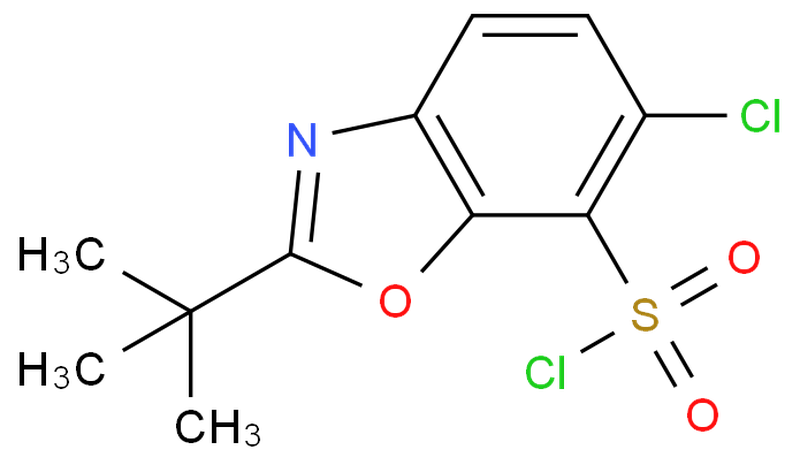 2-tert-Butyl-6-chlorobenzoxazole-7-sulfonyl chloride,2-tert-Butyl-6-chlorobenzoxazole-7-sulfonyl chloride