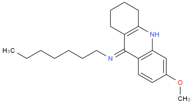 弹性酶,Elastase