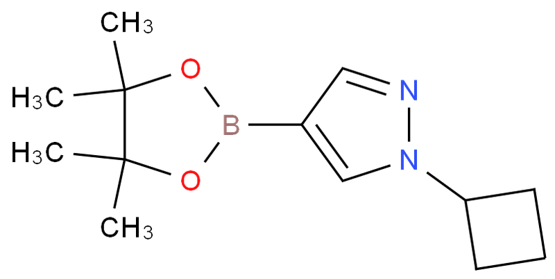 1-环丁基吡唑-4-硼酸频哪醇酯,1-Cyclobutyl-4-(4,4,5,5-tetraMethyl-1,3,2-dioxaborolan-2-yl)-1H-pyrazole