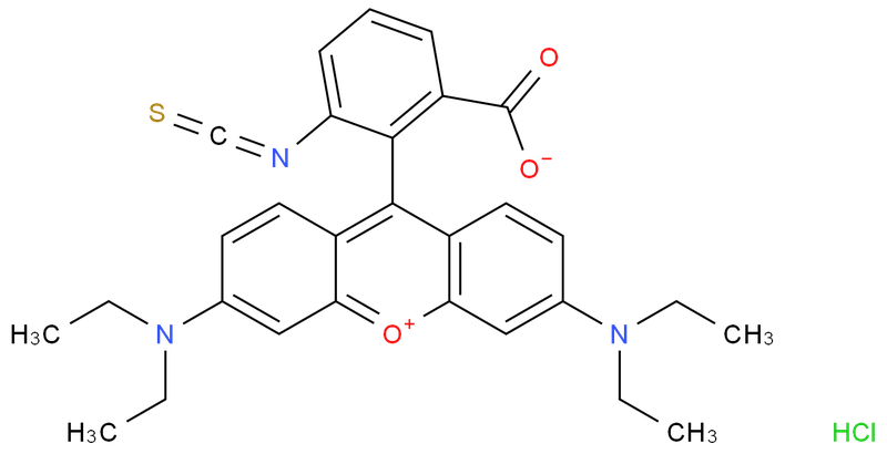 異硫氰酸玫瑰紅B/異硫氰酸羅丹明B/羅丹明B異硫氰酸酯/若丹明B異硫氰酸酯/異硫氰酸若丹明B/RBITC,Rhodamin B isothiocyanate