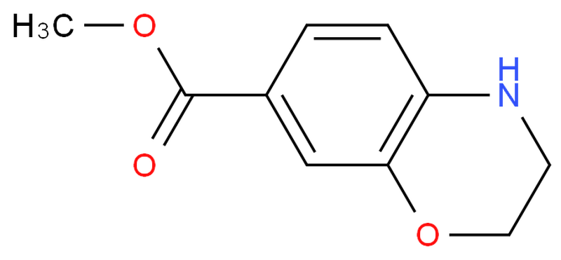 ethyl 3,4-dihydro-2H-benzo[b][1,4]oxazine-7-carboxylate,ethyl 3,4-dihydro-2H-benzo[b][1,4]oxazine-7-carboxylate