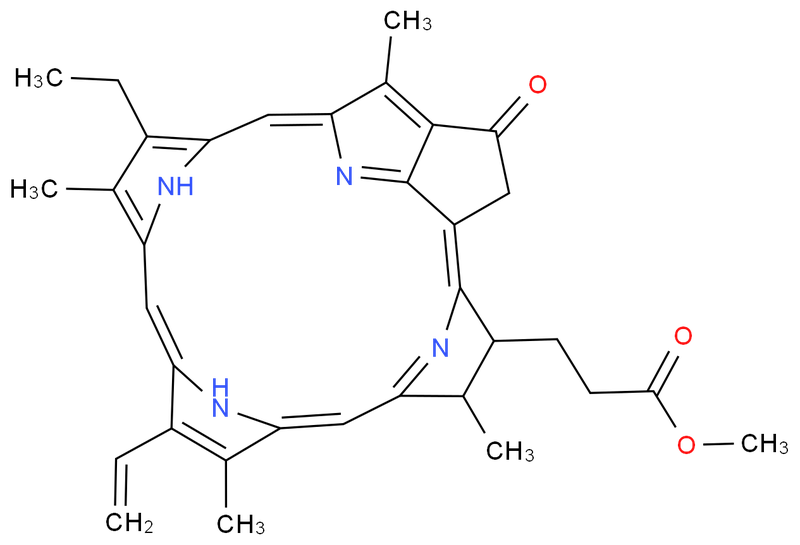 焦脱镁叶绿酸-a甲酯,Pyropheophorbide-a methylester