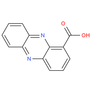 吩嗪-1-羧酸